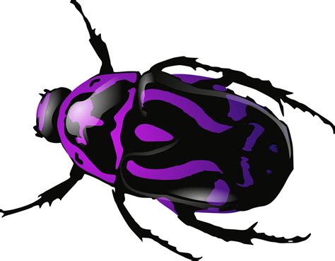 Download 166+ Bug Vector Commercial Use